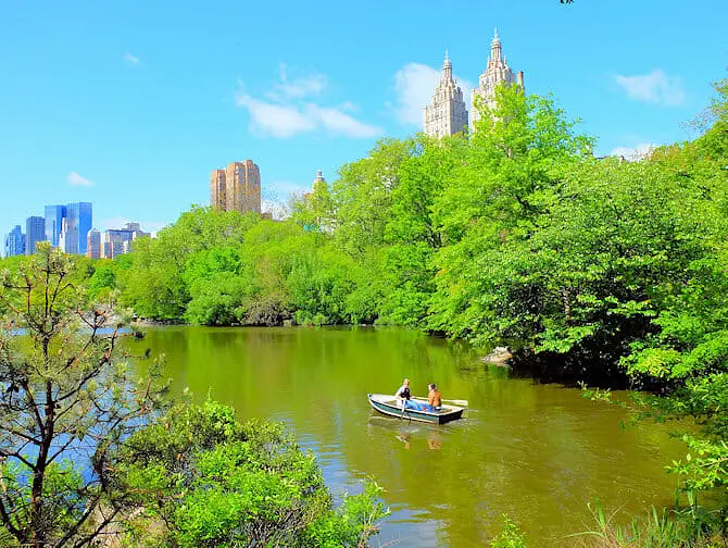 Wat te doen in Upper East Side - Central Park