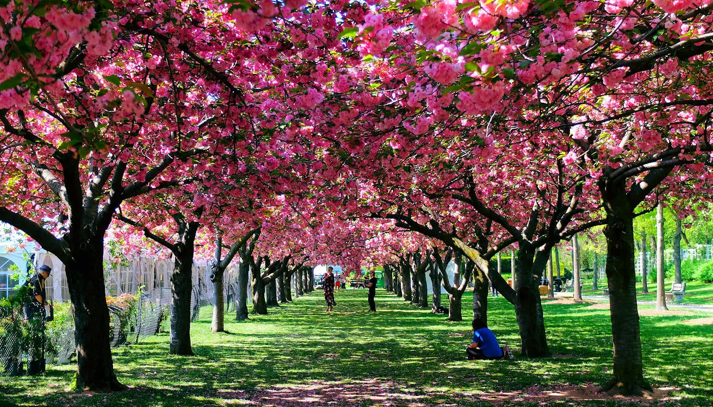 Het weer in New York - Lente