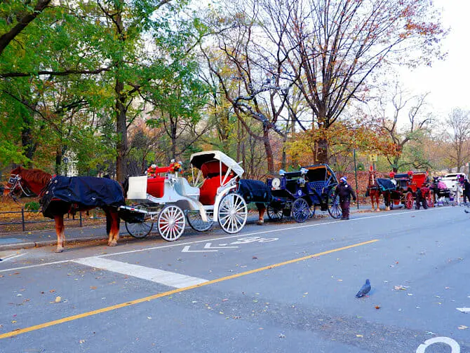 Rit met Paardenkoets door Central Park - overzicht