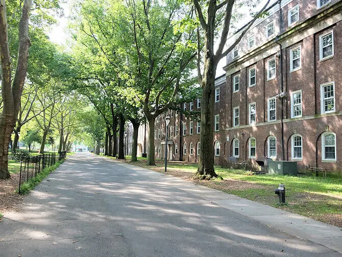 Wat te doen op Governors Island - Huizen