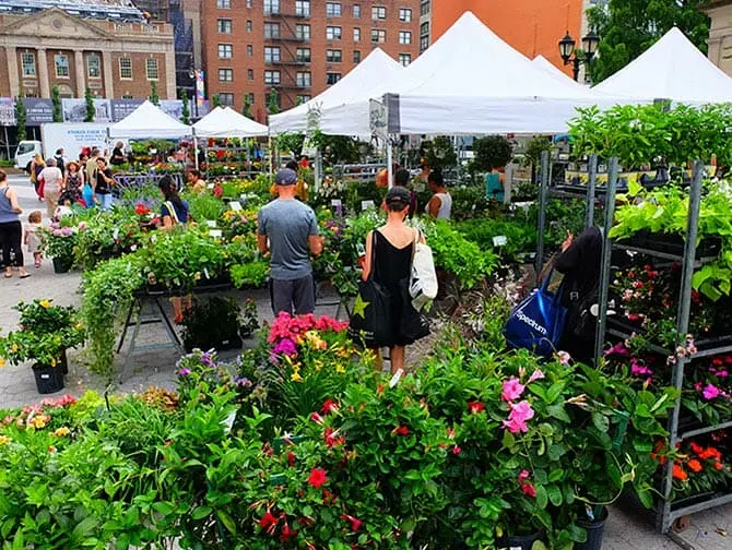 Markten in New York - Planten op Union Square