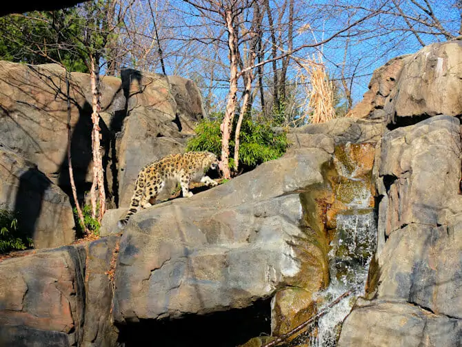 Central Park - Central Park Zoo