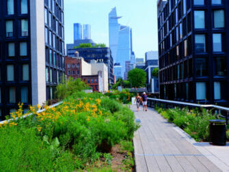 Parken in New York - Zomer in High Line Park