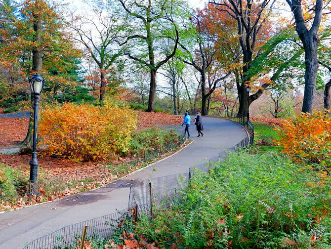 Parken in New York