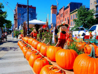 Halloweenpompoenen in New York
