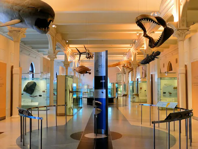 American Museum of Natural History in New York - Tour door leeg museum