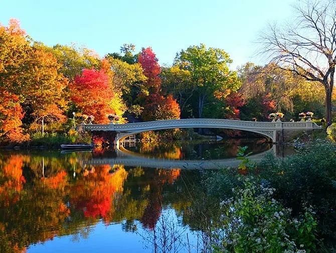 Central Park Filmlocaties Wandeltour - Bow Bridge