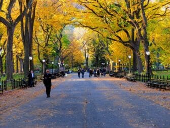 Central Park Filmlocaties Wandeltour - The Mall
