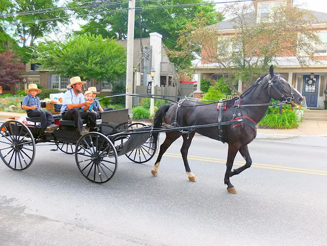 New York naar Philadelphia en de Amish - bezoek de Amish