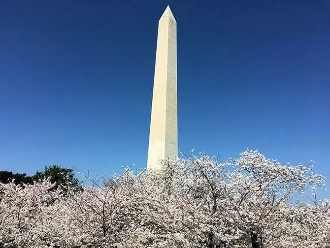 Dagtrip Washington DC - Monument