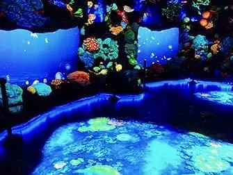 National Geographic Encounter Ocean Odyssey - Oceaan