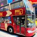 Hop-on Hop-off bus