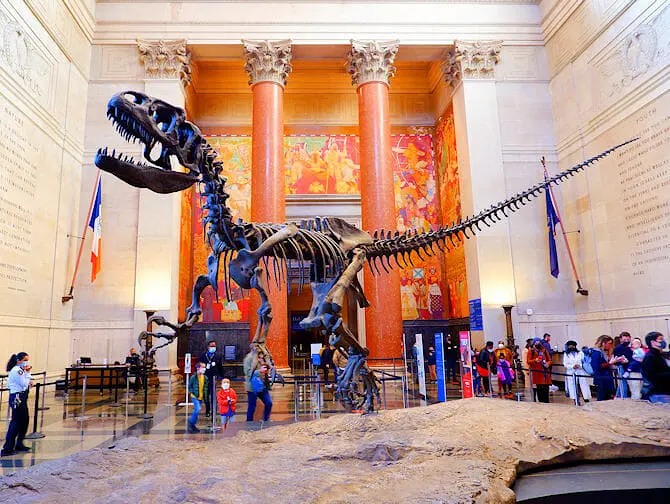 American Museum of Natural History in New York T Rex
