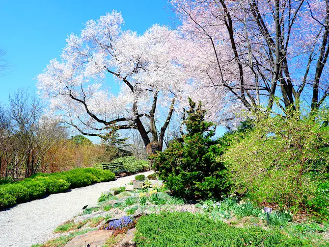 Botanical Gardens in New York New York Botanical Garden in The Bronx