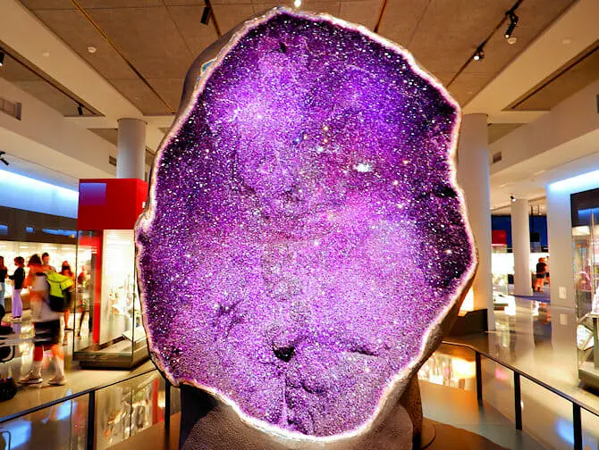 The American Museum of Natural History in New York - Tentoonstelling