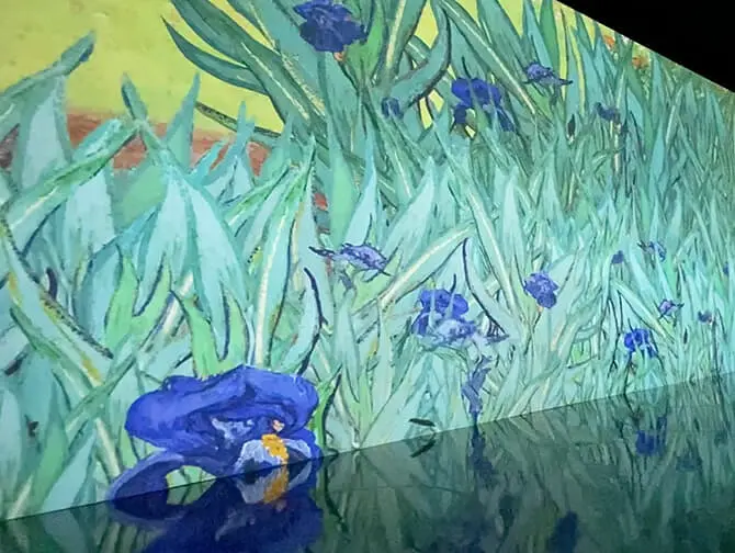 Van Gogh: The Immersive Experience in New York Tickets - Vincent van Gogh