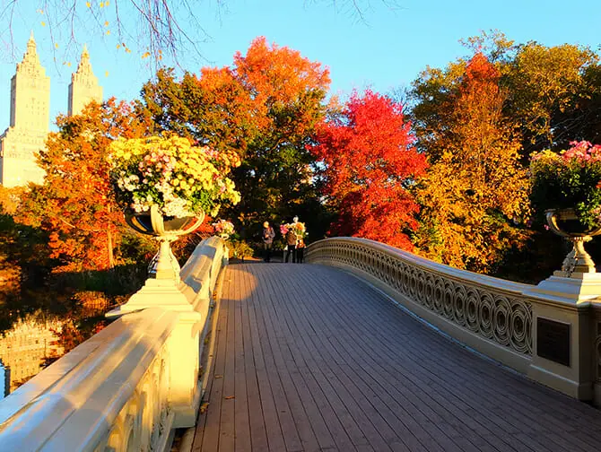 Wandelroutes in New York - Central Park Impressie