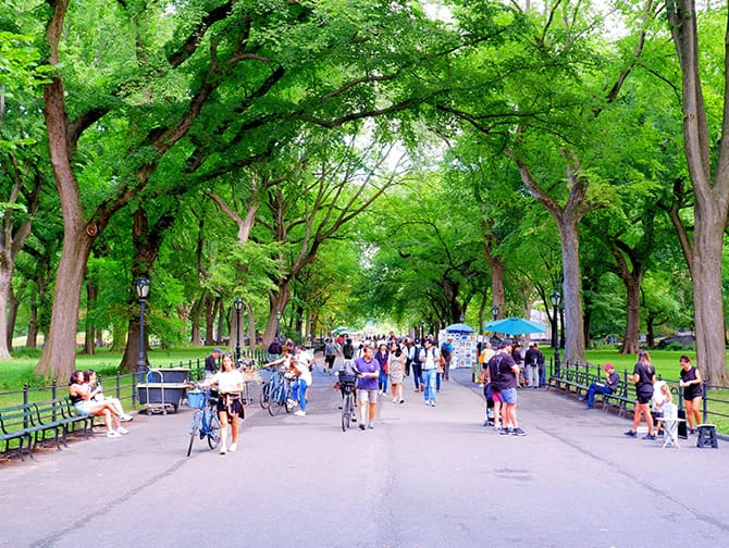 Wandelroutes in New York - Central Park