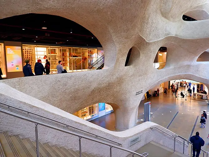 Het American Museum of Natural History in New York - Uitbreiding