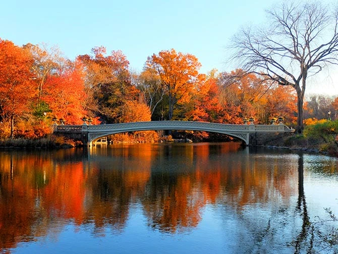 Fietsen in New York met Nederlandse gids - Bow Bridge
