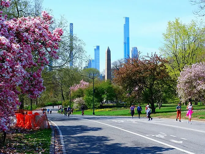 Voordeelpas voor New York - Fietsen