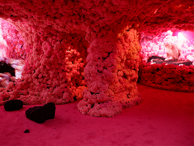 Mercer Labs in New York  - Experience