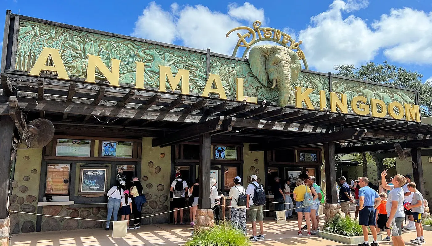 Combineer New York met Orlando - Disney's Animal Kingdom Theme Park