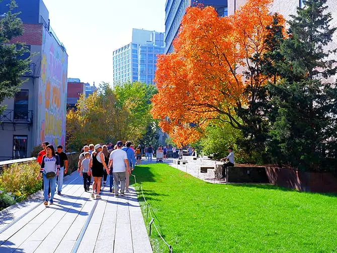 De High Line in New York - Natuur