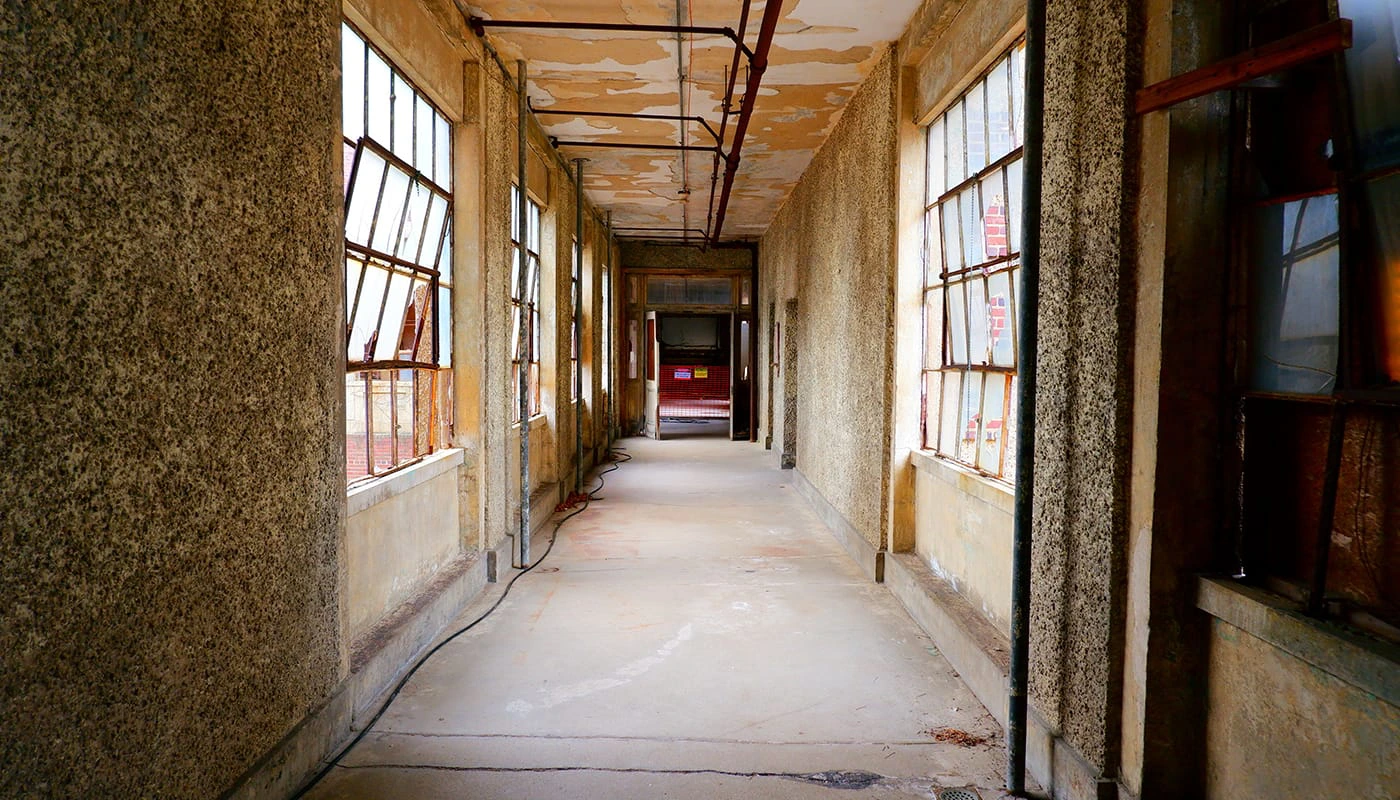 Ellis Island Hard Hat Tour in New York - Unieke Geschiedenis
