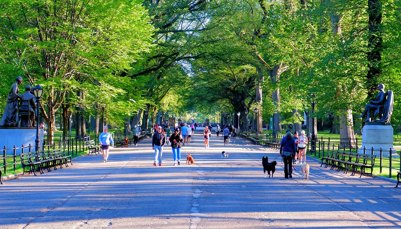 New Yorkers - Mensen die in New York wonen