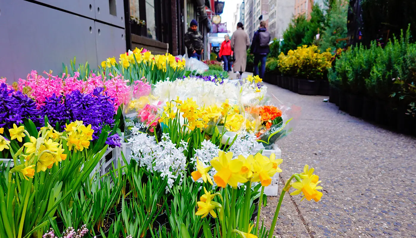 Hotels in Midtown Manhattan - Cambria Hotel New York Chelsea