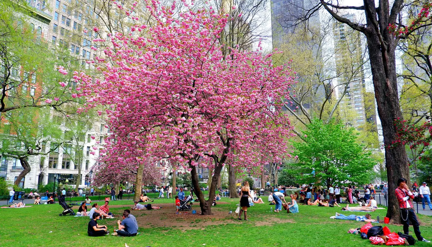 Madison Square Park in New York - Plek waar New Yorkers ontspannen