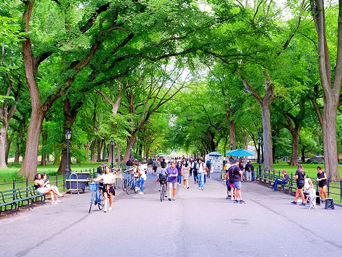 Wandelroute Central Park in New York